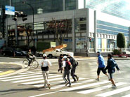 ���鋞�`�i�q�ޗǉw�r��