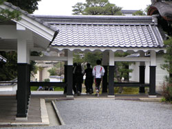 ��T������