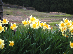 �ےË��`���g���������r���A���㗎���t�߂̐���